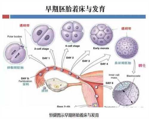 【湖北武汉同济有供卵吗】感叹女人真的不容易，4.27超声输卵管造影归来