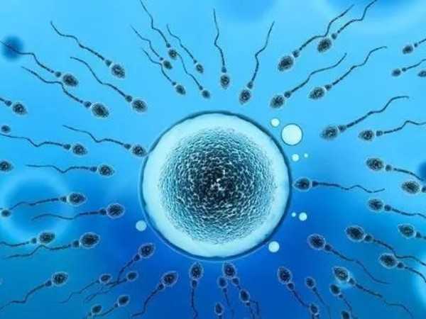 试管婴儿受精失败！精子or卵子！到底是谁出了问题？